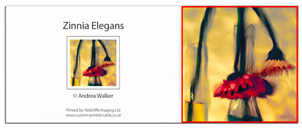 folding-business-card3.png